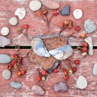 Atlantic Friends Gathering (May 17-20)
