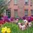 Epistle from Western Half Yearly Meeting (Spring 2019)