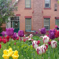 Epistle from Western Half Yearly Meeting (Spring 2019)