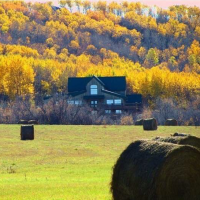 Come to Western Half-Yearly Meeting (October 11-14)