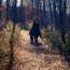 Epistle from Western Half-Yearly Meeting