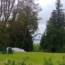 Epistle from Western Half-Yearly Meeting, Spring 2020
